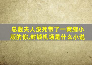 总裁夫人没死带了一窝缩小版的你,封锁机场是什么小说