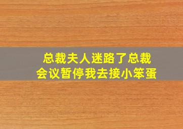 总裁夫人迷路了总裁会议暂停我去接小笨蛋