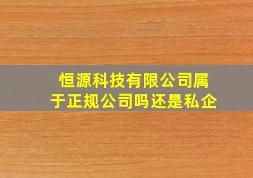 恒源科技有限公司属于正规公司吗还是私企