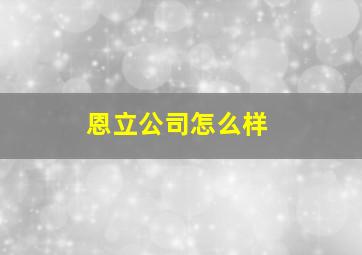 恩立公司怎么样