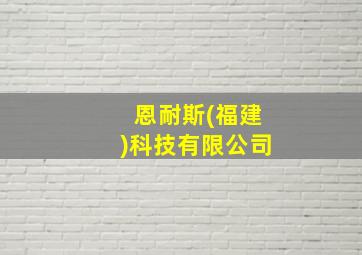 恩耐斯(福建)科技有限公司