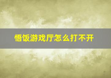 悟饭游戏厅怎么打不开