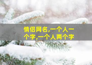 情侣网名,一个人一个字,一个人两个字