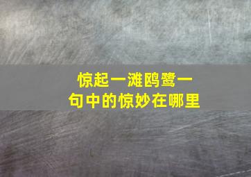 惊起一滩鸥鹭一句中的惊妙在哪里