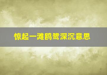 惊起一滩鸥鹭深沉意思