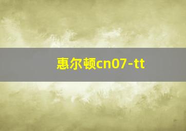 惠尔顿cn07-tt