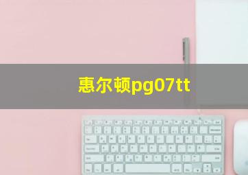 惠尔顿pg07tt