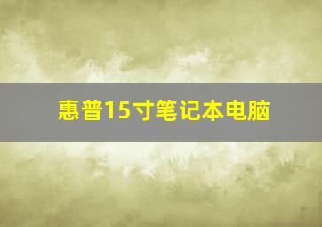 惠普15寸笔记本电脑