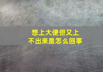 想上大便但又上不出来是怎么回事