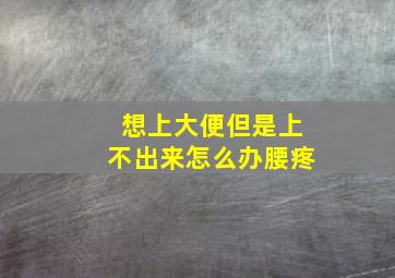 想上大便但是上不出来怎么办腰疼