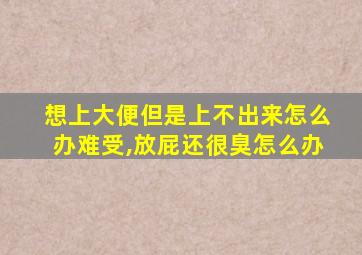 想上大便但是上不出来怎么办难受,放屁还很臭怎么办