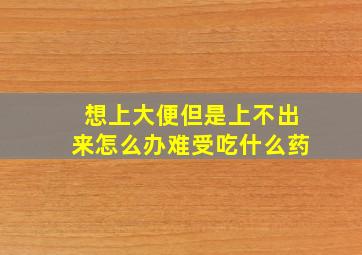 想上大便但是上不出来怎么办难受吃什么药