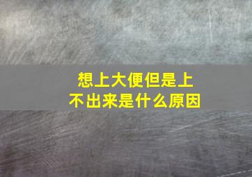 想上大便但是上不出来是什么原因