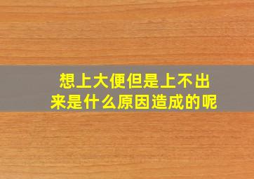 想上大便但是上不出来是什么原因造成的呢