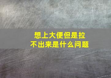 想上大便但是拉不出来是什么问题