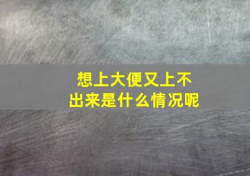 想上大便又上不出来是什么情况呢