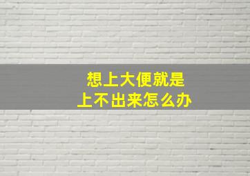 想上大便就是上不出来怎么办