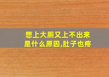 想上大厕又上不出来是什么原因,肚子也疼