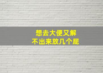 想去大便又解不出来放几个屁