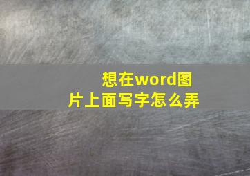 想在word图片上面写字怎么弄