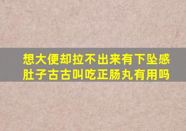 想大便却拉不出来有下坠感肚子古古叫吃正肠丸有用吗