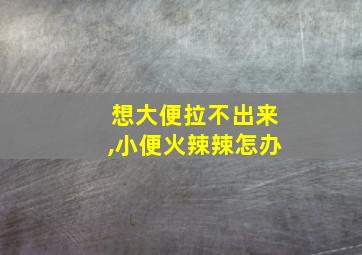 想大便拉不出来,小便火辣辣怎办