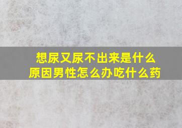 想尿又尿不出来是什么原因男性怎么办吃什么药