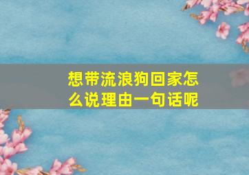 想带流浪狗回家怎么说理由一句话呢