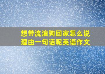 想带流浪狗回家怎么说理由一句话呢英语作文