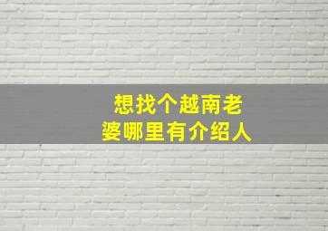 想找个越南老婆哪里有介绍人