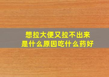 想拉大便又拉不出来是什么原因吃什么药好