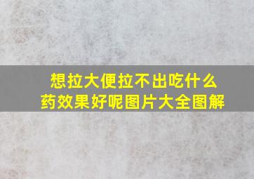 想拉大便拉不出吃什么药效果好呢图片大全图解