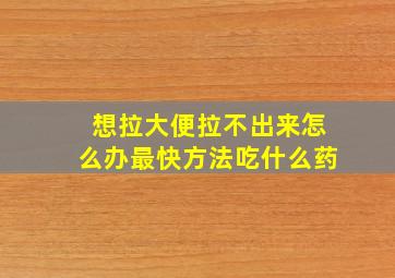 想拉大便拉不出来怎么办最快方法吃什么药