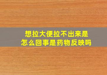 想拉大便拉不出来是怎么回事是药物反映吗