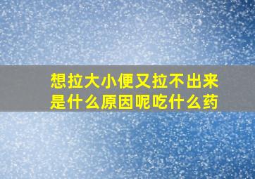 想拉大小便又拉不出来是什么原因呢吃什么药