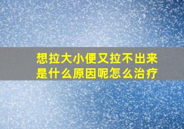 想拉大小便又拉不出来是什么原因呢怎么治疗