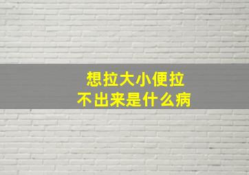 想拉大小便拉不出来是什么病