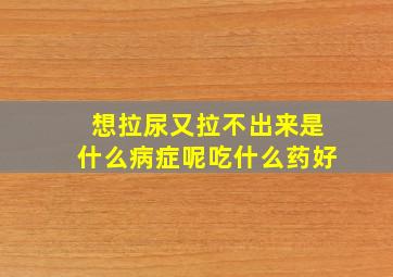 想拉尿又拉不出来是什么病症呢吃什么药好