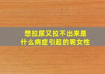 想拉尿又拉不出来是什么病症引起的呢女性