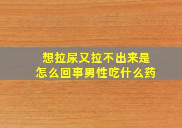 想拉尿又拉不出来是怎么回事男性吃什么药