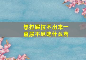 想拉屎拉不出来一直尿不尽吃什么药