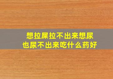 想拉屎拉不出来想尿也尿不出来吃什么药好