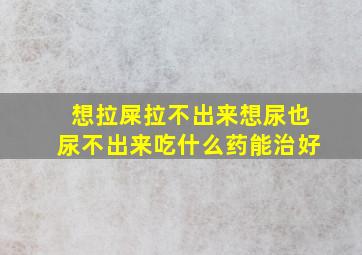 想拉屎拉不出来想尿也尿不出来吃什么药能治好