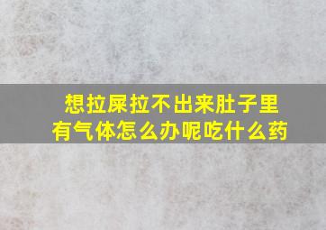 想拉屎拉不出来肚子里有气体怎么办呢吃什么药