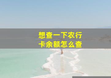 想查一下农行卡余额怎么查