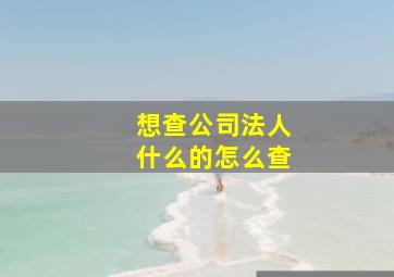 想查公司法人什么的怎么查