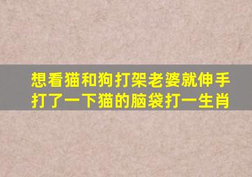 想看猫和狗打架老婆就伸手打了一下猫的脑袋打一生肖