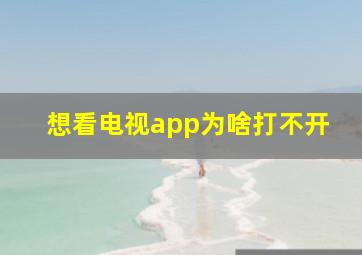 想看电视app为啥打不开