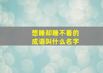 想睡却睡不着的成语叫什么名字