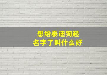 想给泰迪狗起名字了叫什么好